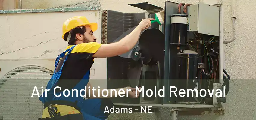  Air Conditioner Mold Removal Adams - NE