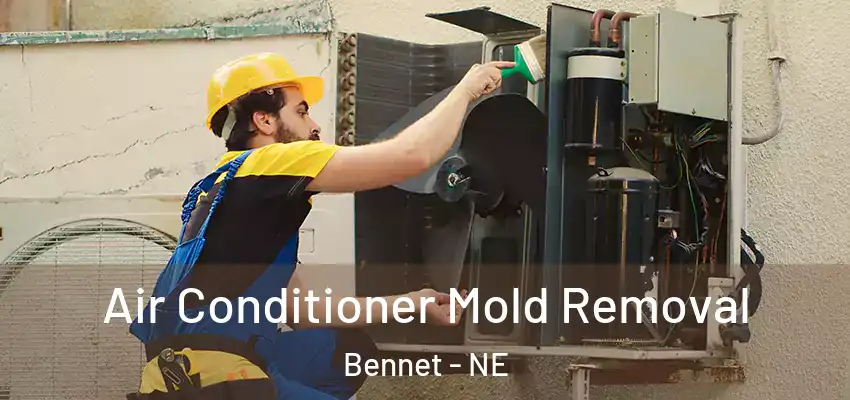  Air Conditioner Mold Removal Bennet - NE