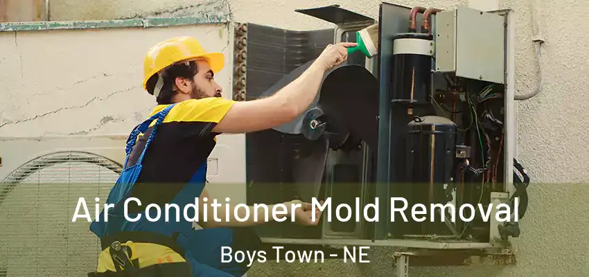  Air Conditioner Mold Removal Boys Town - NE