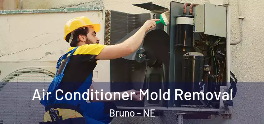  Air Conditioner Mold Removal Bruno - NE