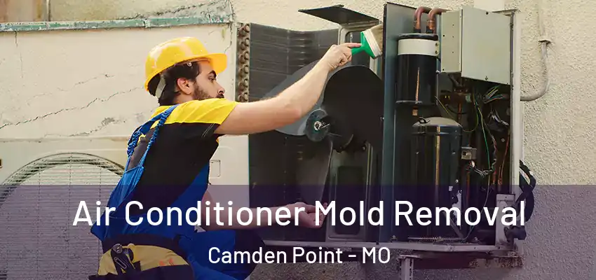 Air Conditioner Mold Removal Camden Point - MO