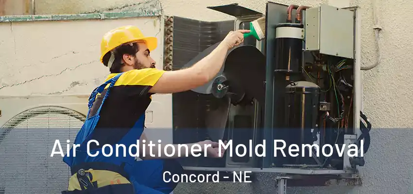  Air Conditioner Mold Removal Concord - NE