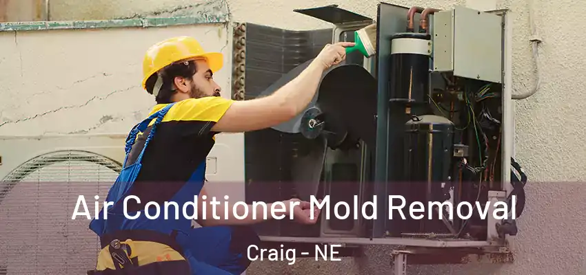  Air Conditioner Mold Removal Craig - NE