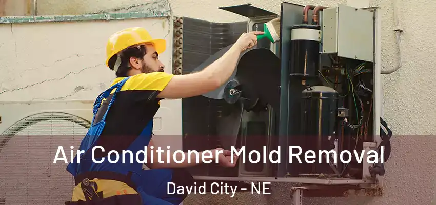 Air Conditioner Mold Removal David City - NE
