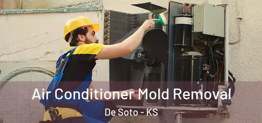 Air Conditioner Mold Removal De Soto - KS