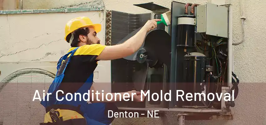  Air Conditioner Mold Removal Denton - NE
