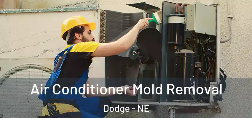  Air Conditioner Mold Removal Dodge - NE