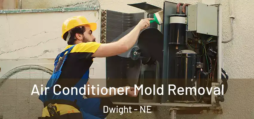  Air Conditioner Mold Removal Dwight - NE