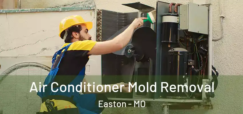  Air Conditioner Mold Removal Easton - MO