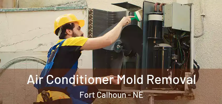  Air Conditioner Mold Removal Fort Calhoun - NE