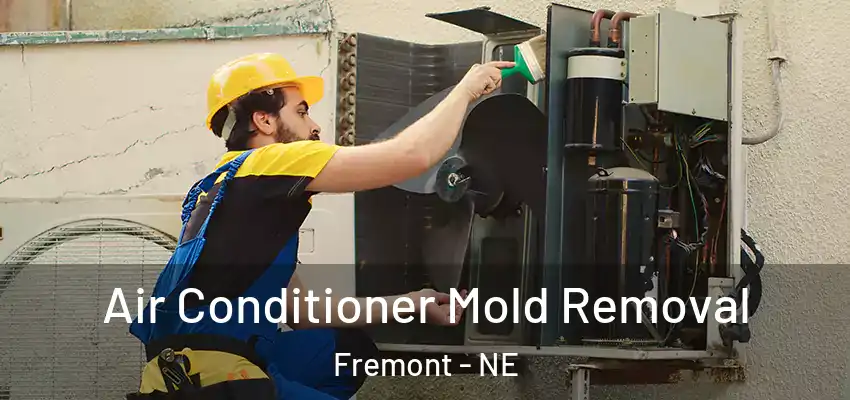 Air Conditioner Mold Removal Fremont - NE
