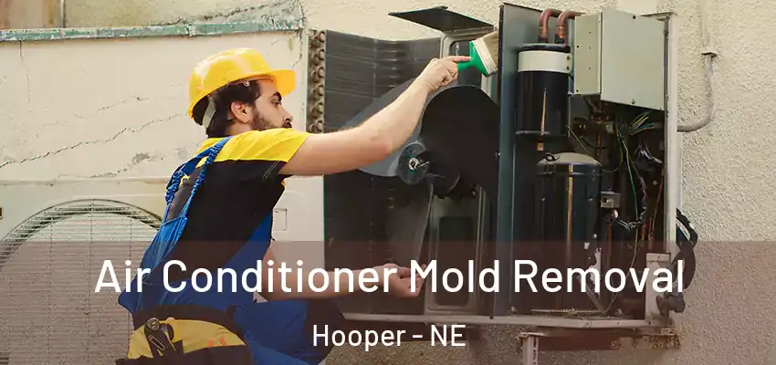  Air Conditioner Mold Removal Hooper - NE