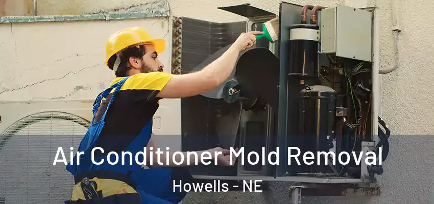  Air Conditioner Mold Removal Howells - NE