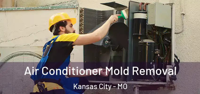 Air Conditioner Mold Removal Kansas City - MO
