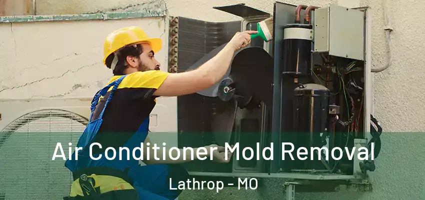  Air Conditioner Mold Removal Lathrop - MO