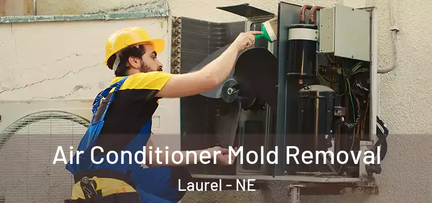  Air Conditioner Mold Removal Laurel - NE