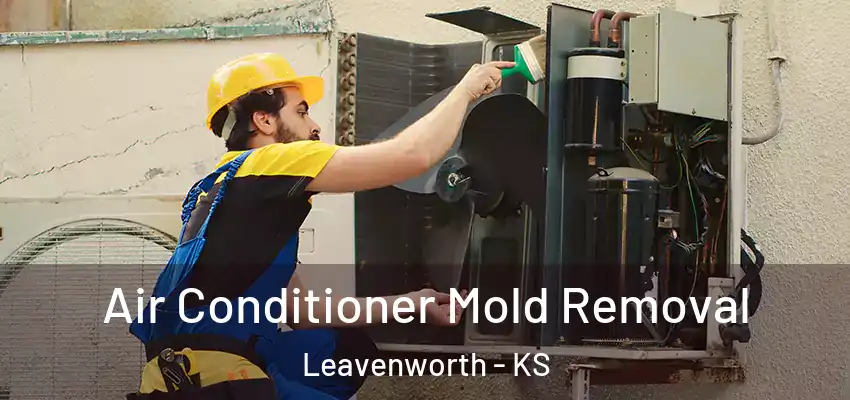  Air Conditioner Mold Removal Leavenworth - KS
