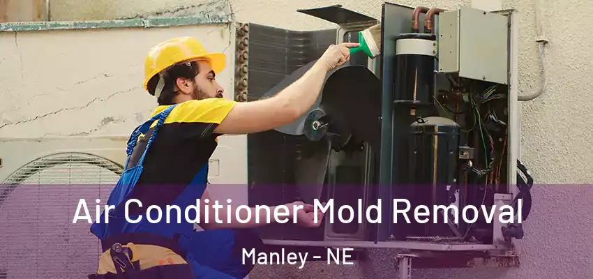  Air Conditioner Mold Removal Manley - NE