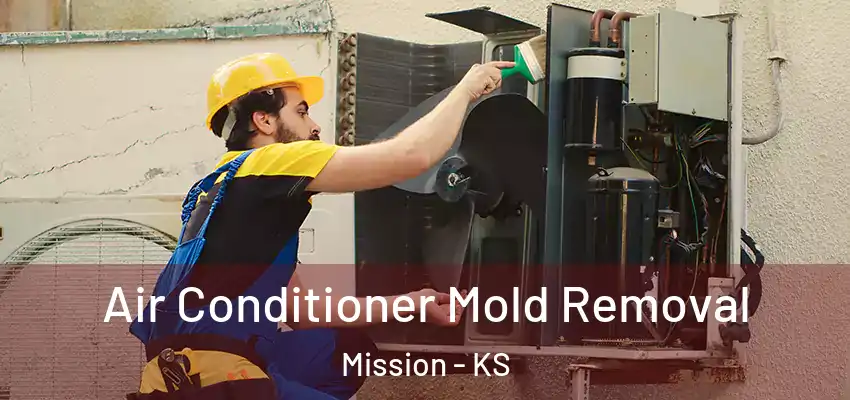Air Conditioner Mold Removal Mission - KS