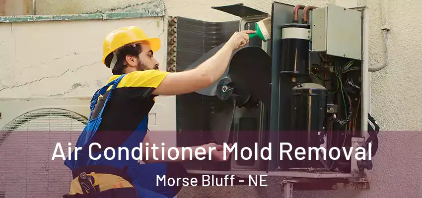  Air Conditioner Mold Removal Morse Bluff - NE