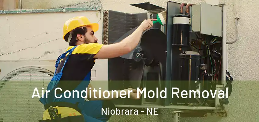 Air Conditioner Mold Removal Niobrara - NE
