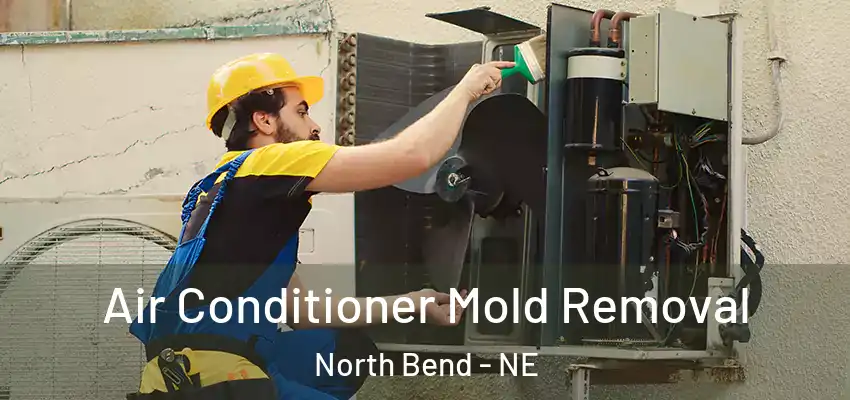  Air Conditioner Mold Removal North Bend - NE