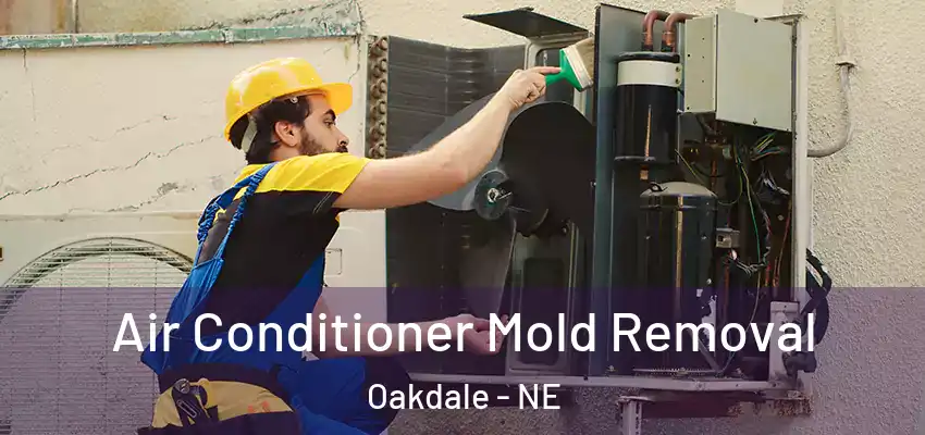  Air Conditioner Mold Removal Oakdale - NE
