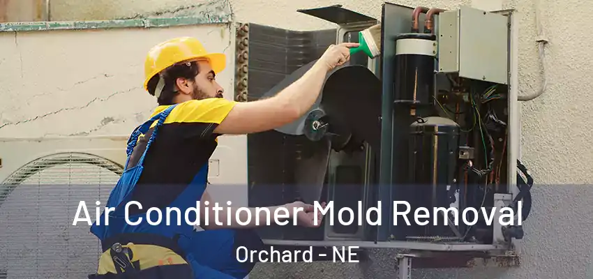  Air Conditioner Mold Removal Orchard - NE
