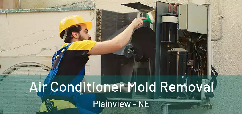 Air Conditioner Mold Removal Plainview - NE
