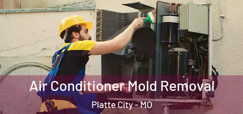  Air Conditioner Mold Removal Platte City - MO