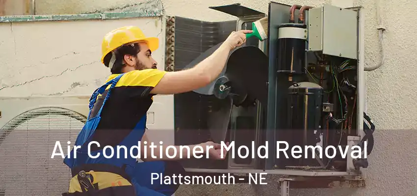 Air Conditioner Mold Removal Plattsmouth - NE