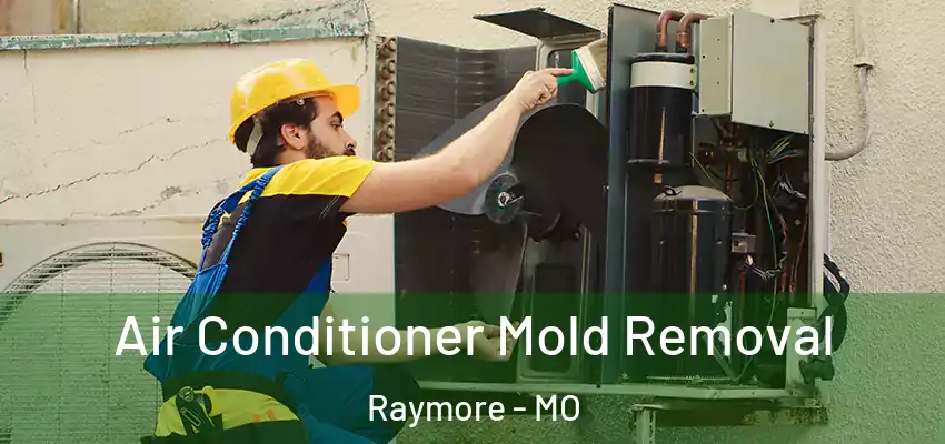  Air Conditioner Mold Removal Raymore - MO