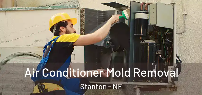  Air Conditioner Mold Removal Stanton - NE