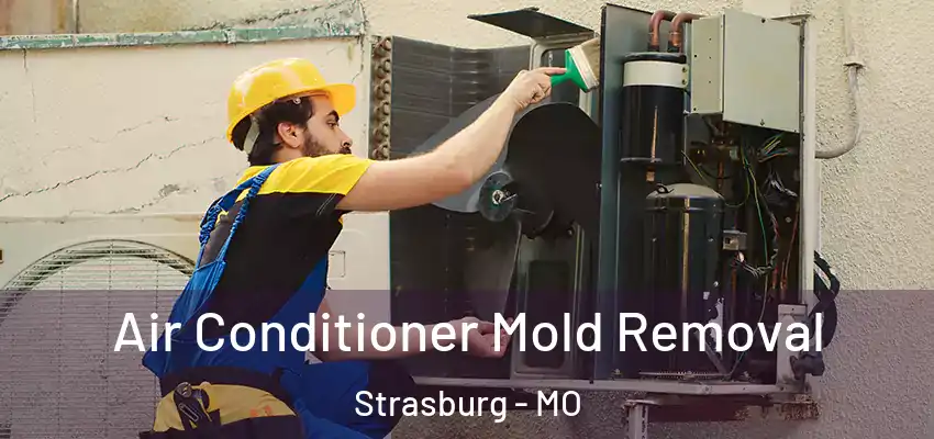  Air Conditioner Mold Removal Strasburg - MO