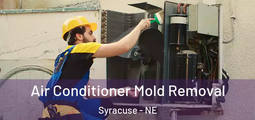  Air Conditioner Mold Removal Syracuse - NE