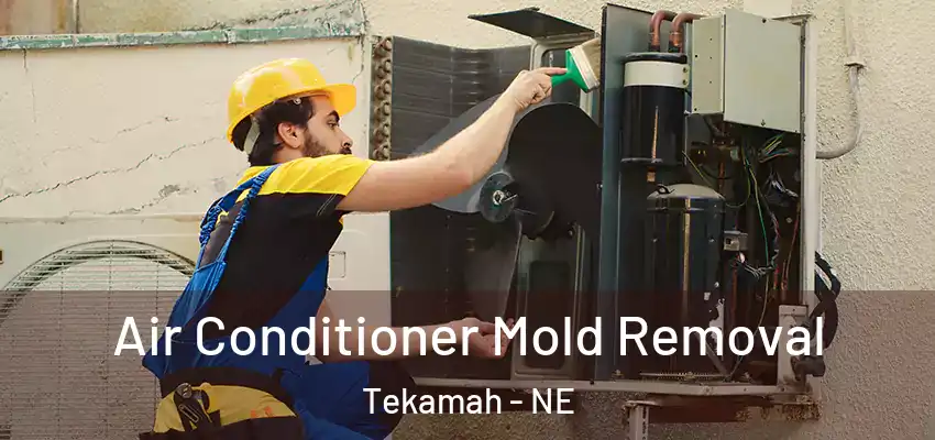  Air Conditioner Mold Removal Tekamah - NE