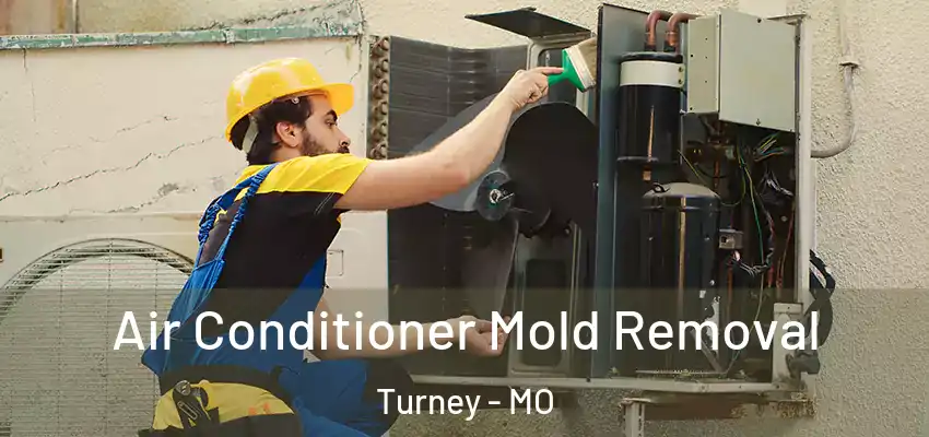  Air Conditioner Mold Removal Turney - MO