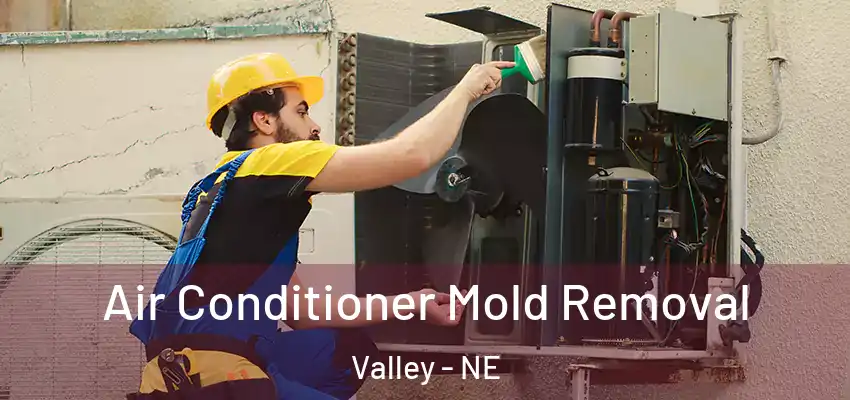  Air Conditioner Mold Removal Valley - NE