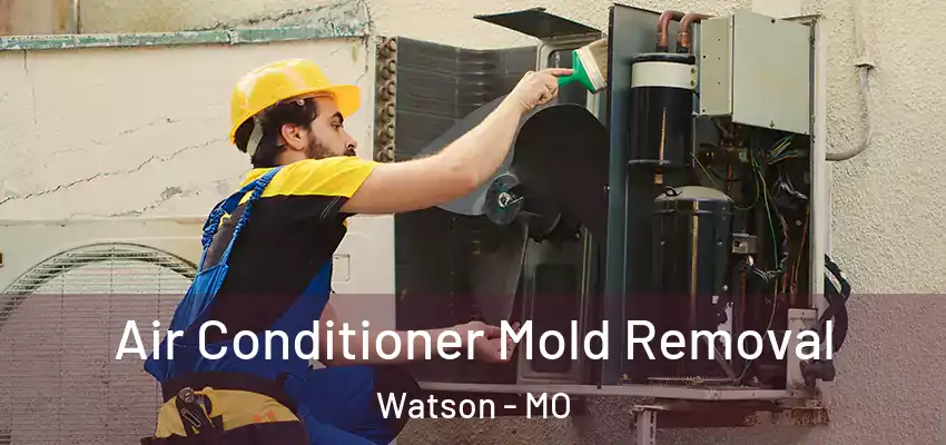  Air Conditioner Mold Removal Watson - MO