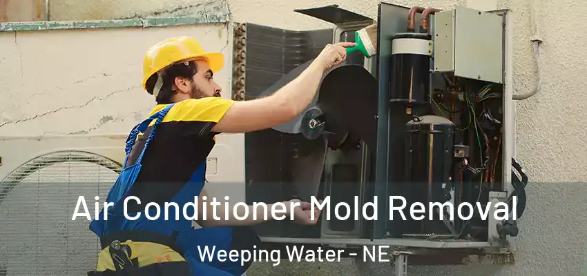  Air Conditioner Mold Removal Weeping Water - NE