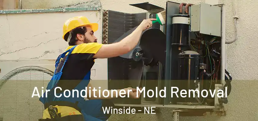  Air Conditioner Mold Removal Winside - NE
