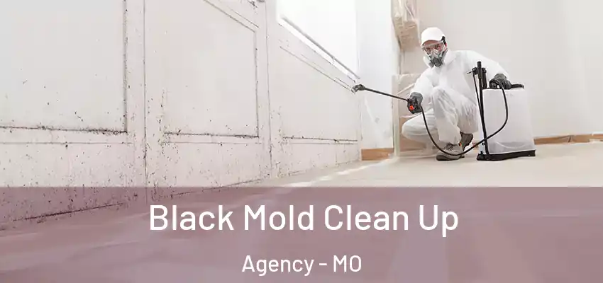  Black Mold Clean Up Agency - MO