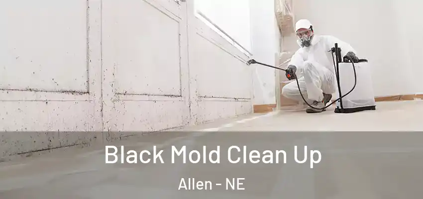  Black Mold Clean Up Allen - NE