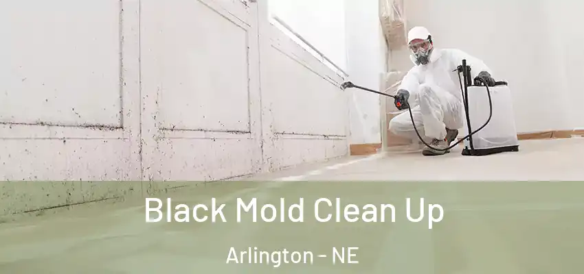 Black Mold Clean Up Arlington - NE