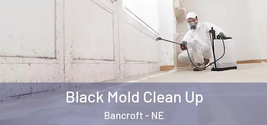  Black Mold Clean Up Bancroft - NE