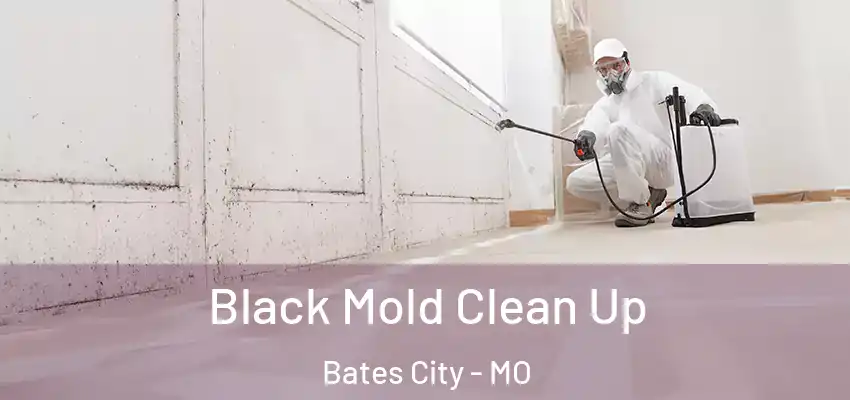  Black Mold Clean Up Bates City - MO