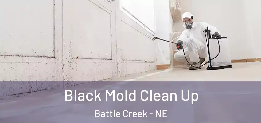  Black Mold Clean Up Battle Creek - NE