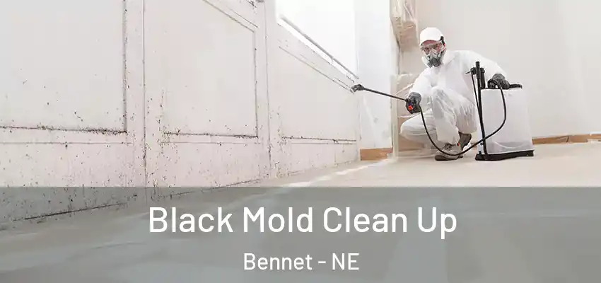  Black Mold Clean Up Bennet - NE