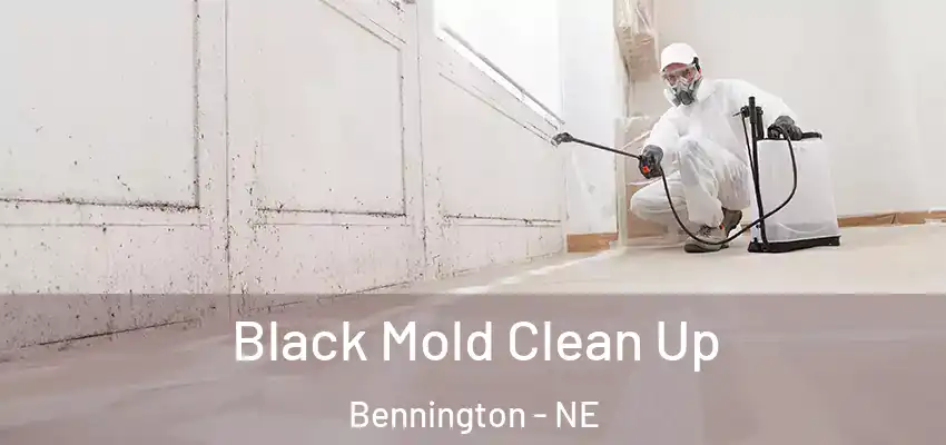  Black Mold Clean Up Bennington - NE