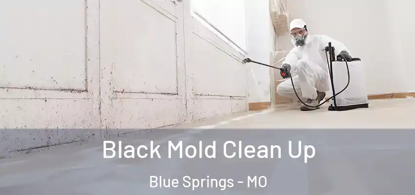 Black Mold Clean Up Blue Springs - MO